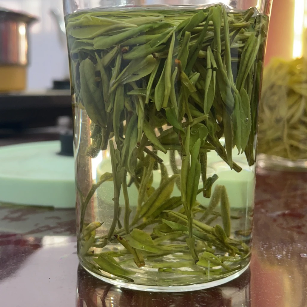 徽维帅新茶霍山黄芽高山茶雨前特产春茶黄茶炭火烘培茶叶口粮茶