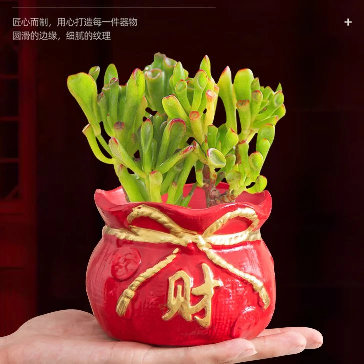 多肉花盆喜庆中国红色发财树蝴蝶兰等绿植家用花盆发福财系列福袋