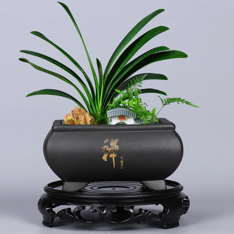 源老舍多肉花盆陶瓷大口径文竹发财树老桩绿植专用盆景盆带托盘