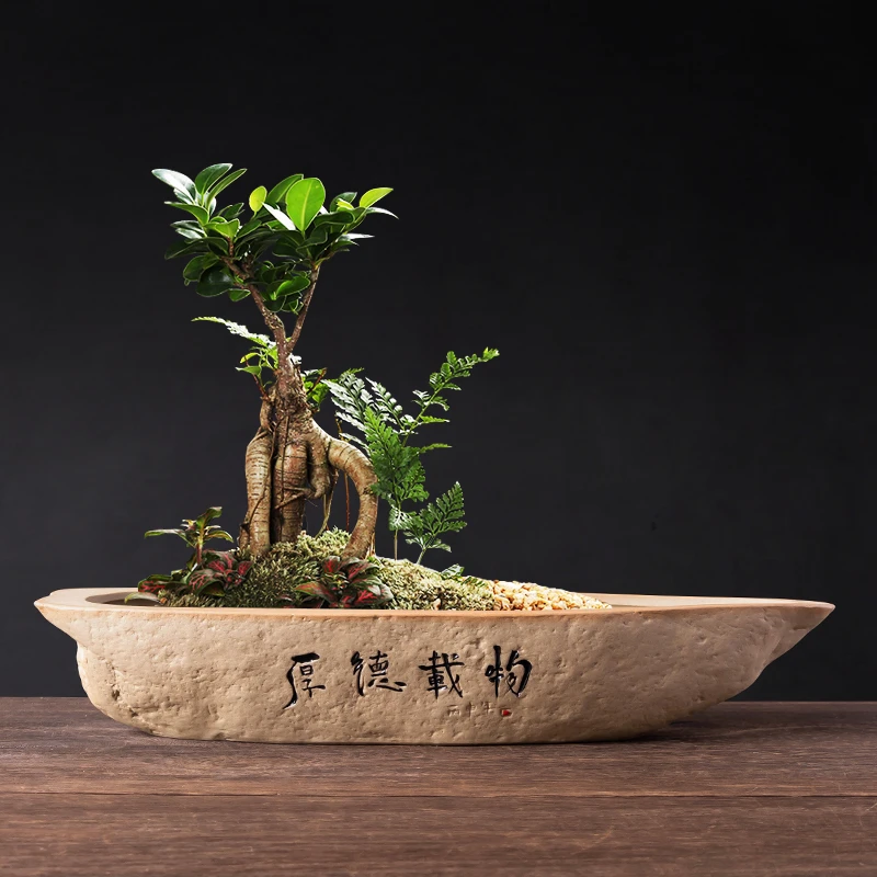 仿石头文竹造景花盆天然石头盆景长方形简约陶瓷大号盆栽
