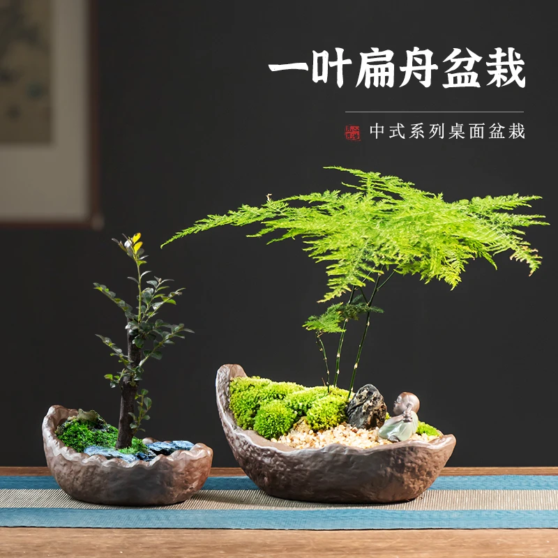 中式紫砂花盆陶瓷小叶紫檀禅意专用盆景古典家用桌面文竹摆件带托