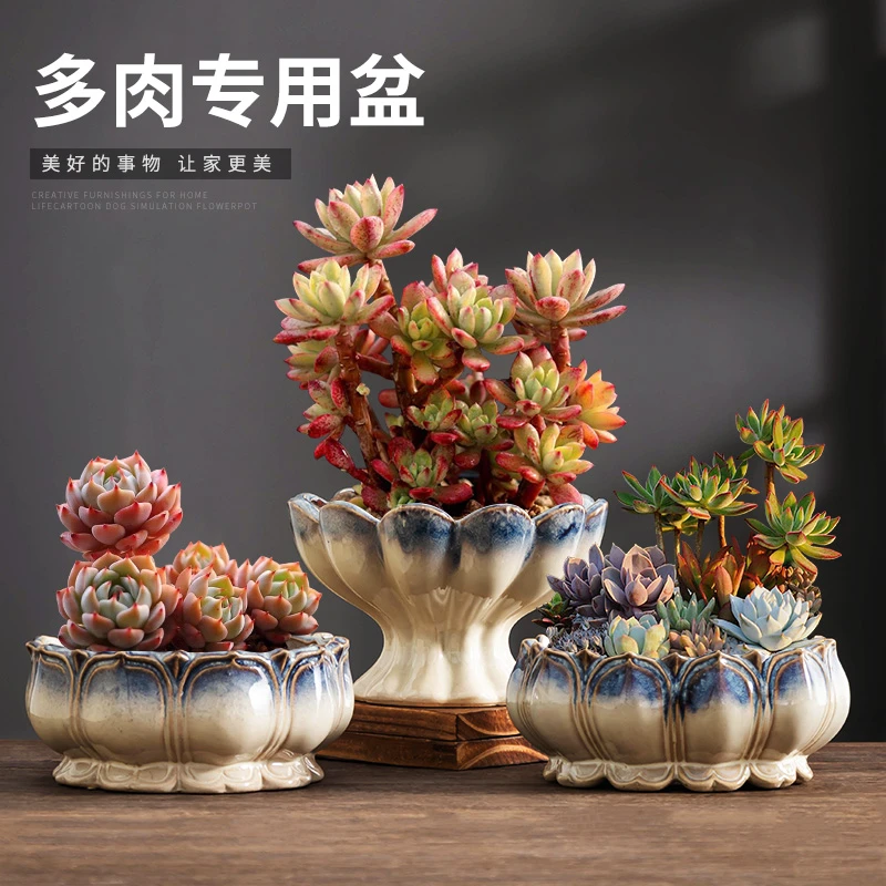 中式窑变白宝莲灯多肉拼盘透气花盆陶瓷大口径家用阳台桌面绿植盆