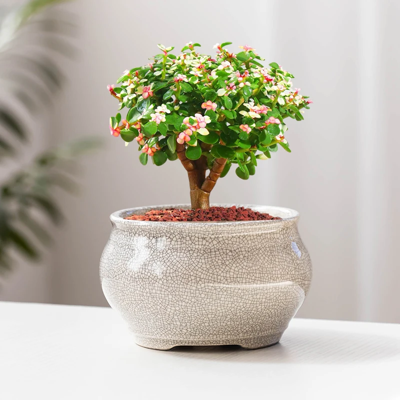 陶瓷哥窑开片陶瓷水培小花盆有孔花钵绿植容器小清新桌面花器清仓