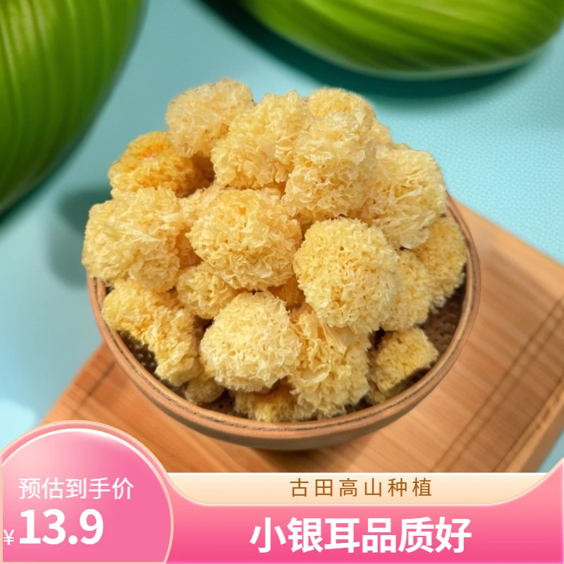 古田高山种植小银耳椴木小银耳软糯多胶农家特产好品质原产地直发