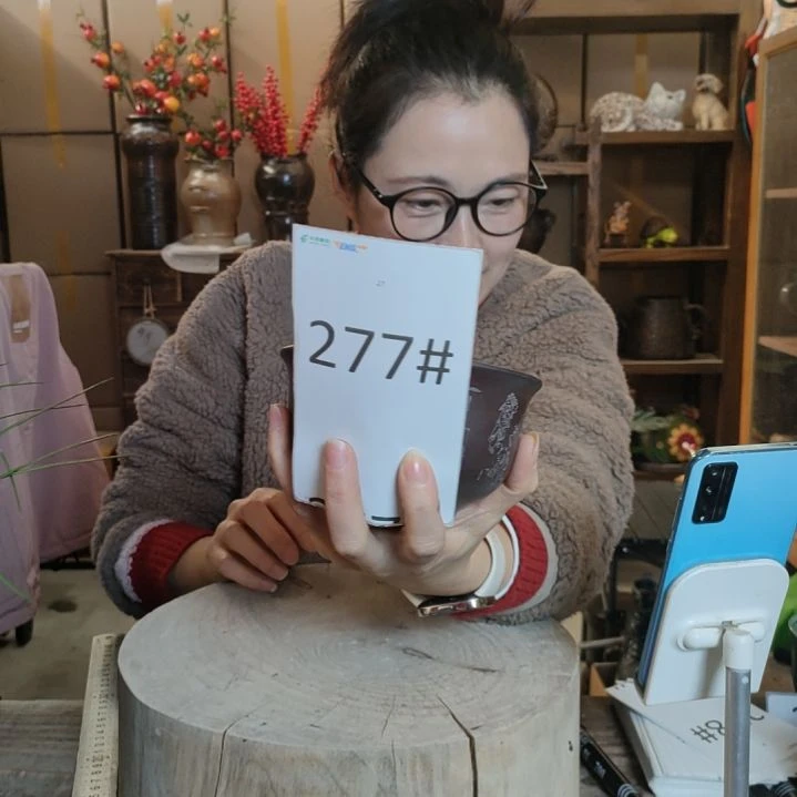 【闪购商品】瓷罐277