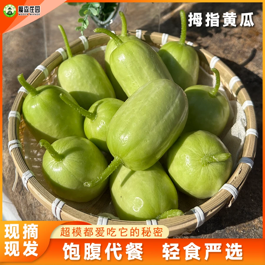 山东金童玉女小黄瓜新鲜拇指黄瓜1/3斤白玉青瓜包邮手指迷你水果