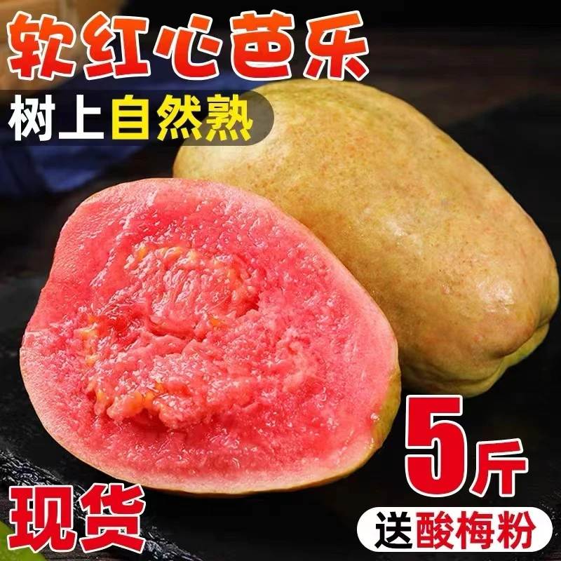 【软硬两吃】红心软芭乐老树番石榴新鲜水果送酸梅粉5斤装（12-17个）