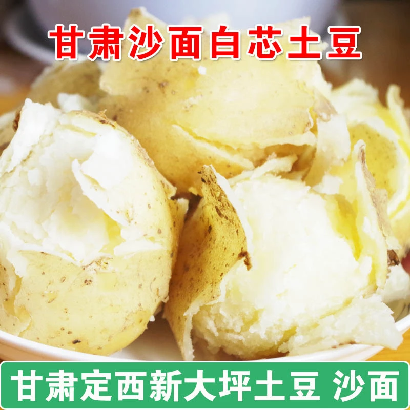 2025甘肃定西新大坪白皮白芯土豆沙面洋芋马铃薯新鲜净重5/9斤