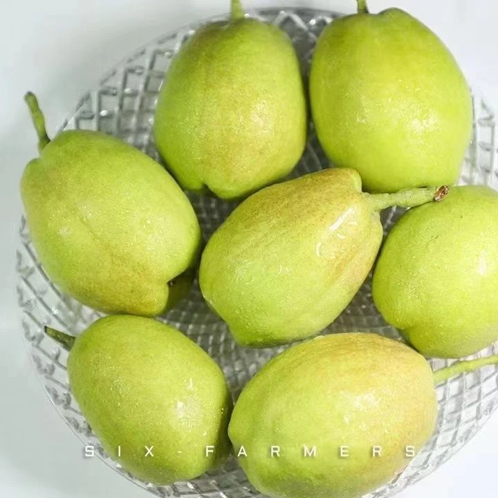 正宗库尔勒香梨新疆库尔勒香梨新鲜应季水果梨子脆甜多汁非红香酥