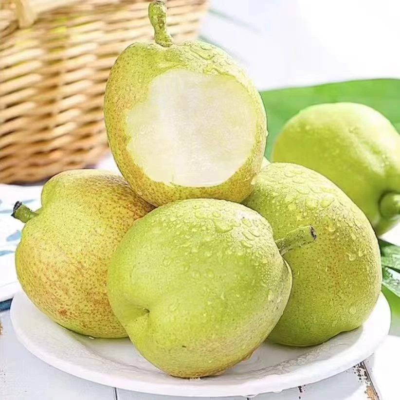 新疆库尔勒香梨正宗库尔勒香梨新鲜应季水果梨子脆甜多汁非红香酥