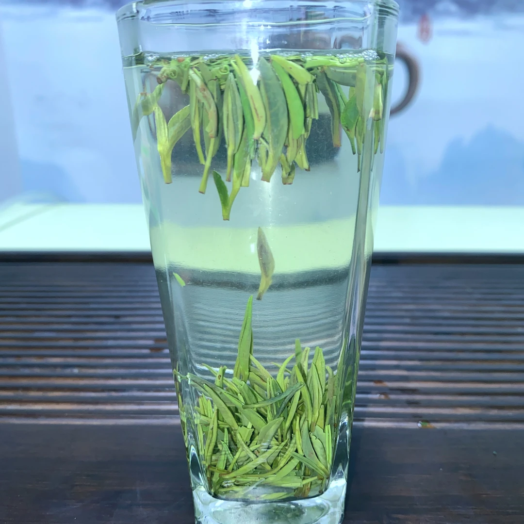 湖北绿茶2023年新茶高山纯芽茶雀舌清香淡雅回味绵长苦而不涩回甘