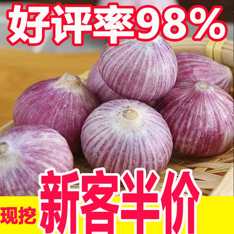 【新店半价】新鲜紫皮独头蒜大蒜头新晒干蒜0.5/2/3/5斤包邮
