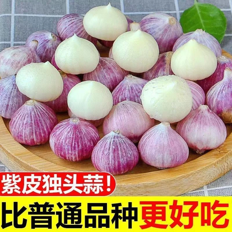 【抢购中】新鲜紫皮独头蒜头大蒜子新晒干蒜0.5/2/3/5斤包邮