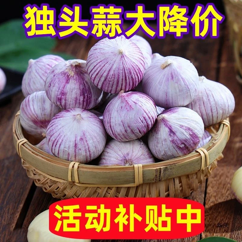 【新店半价】独蒜紫皮独头蒜新鲜独蒜大蒜头干蒜头0.5/2/3/5斤包邮