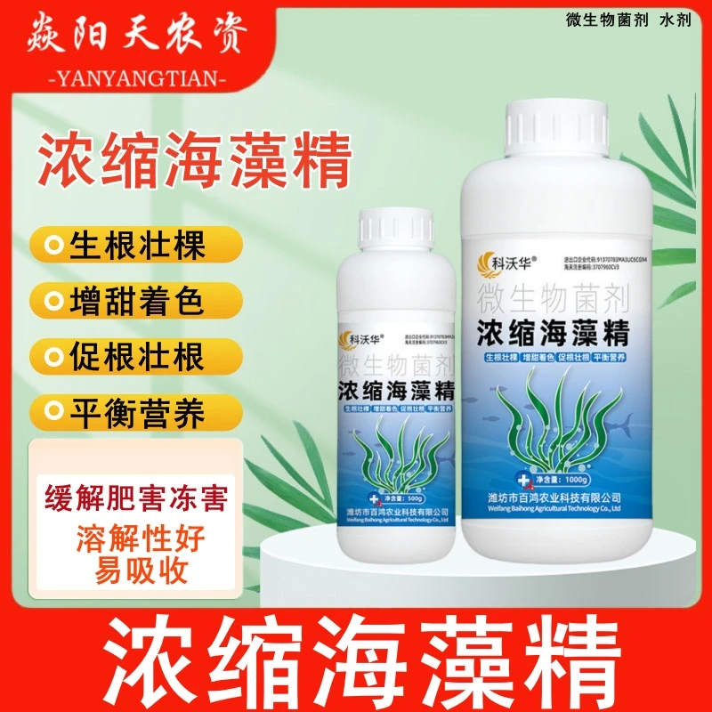 浓缩海藻精生根壮根绿叶增甜靓果果树蔬菜瓜果通用水溶肥叶面肥料