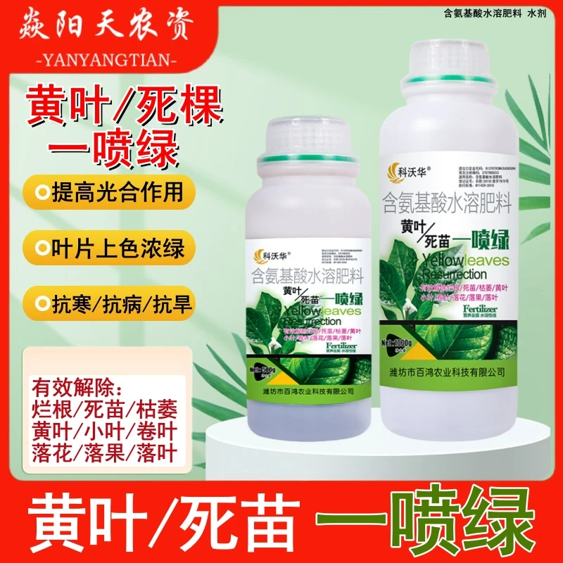 黄叶一喷绿黄叶变绿叶绿素花卉蔬菜果树微量元素氨基酸水溶肥农业