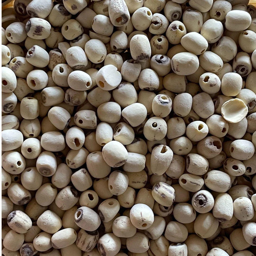 阿芯专属【土特产】莲-子 500g