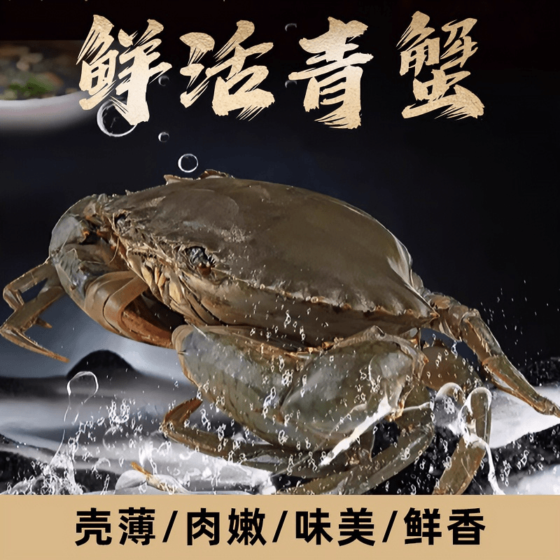 膏蟹鲜活大青蟹肉质饱满2-3只装（1.2-1.5斤）海鲜水产品新鲜送到家