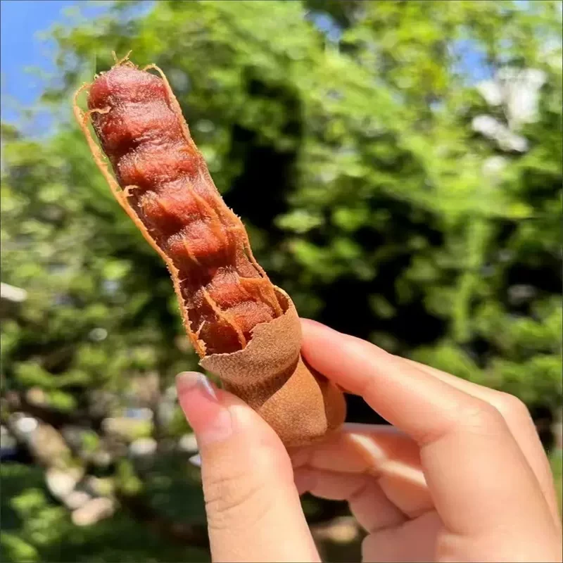 酸甜角