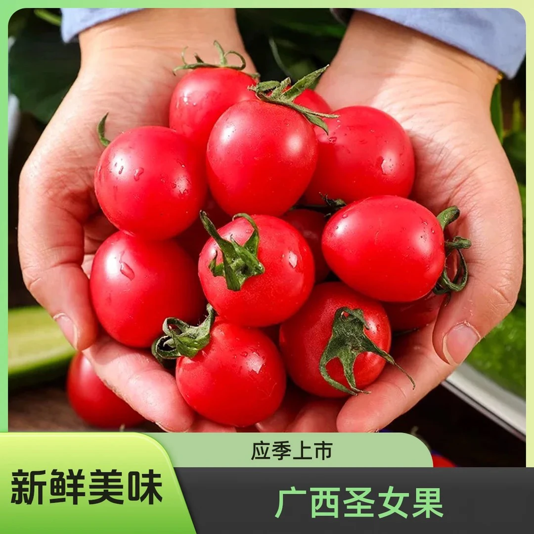 F 精选广西圣女果 小西红柿 新鲜水果小番茄5斤 酸甜多汁坏果包赔
