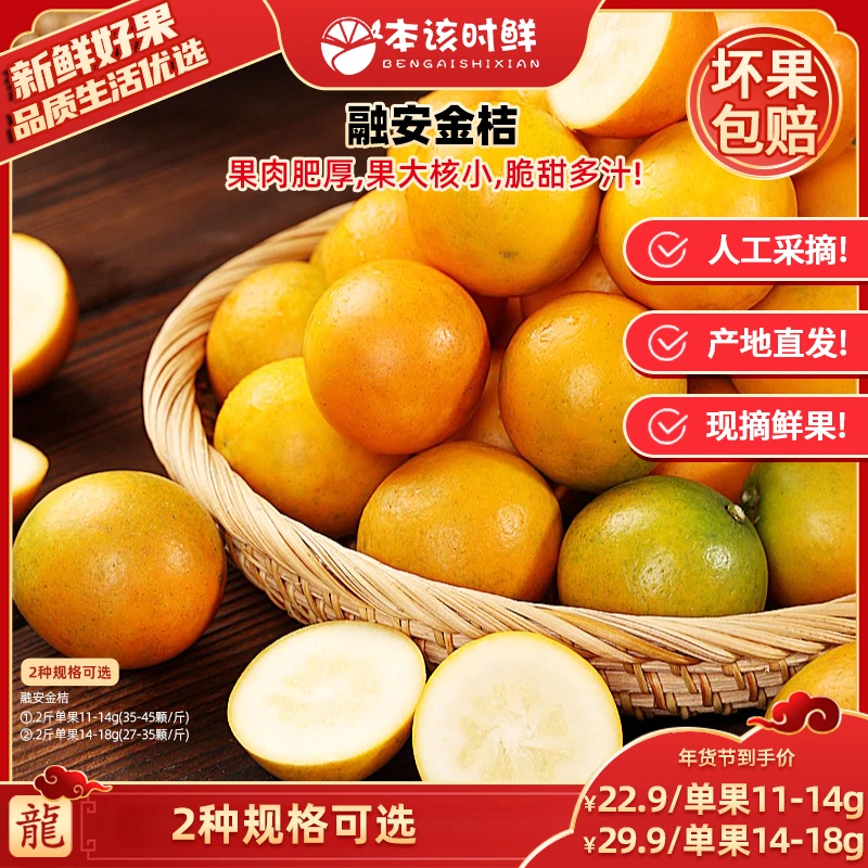 【广东夫妇专属】广西融安滑皮金桔2斤新鲜水果当季脆甜小金橘现摘
