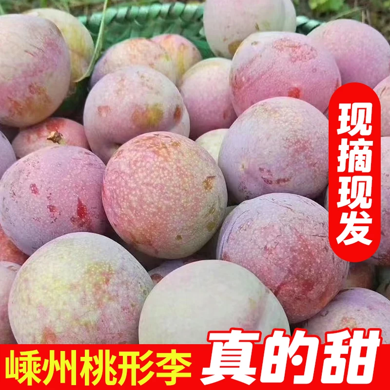 浙江嵊州桃形李现摘红心李子新鲜水果脆甜脱骨优质好吃成熟三华李