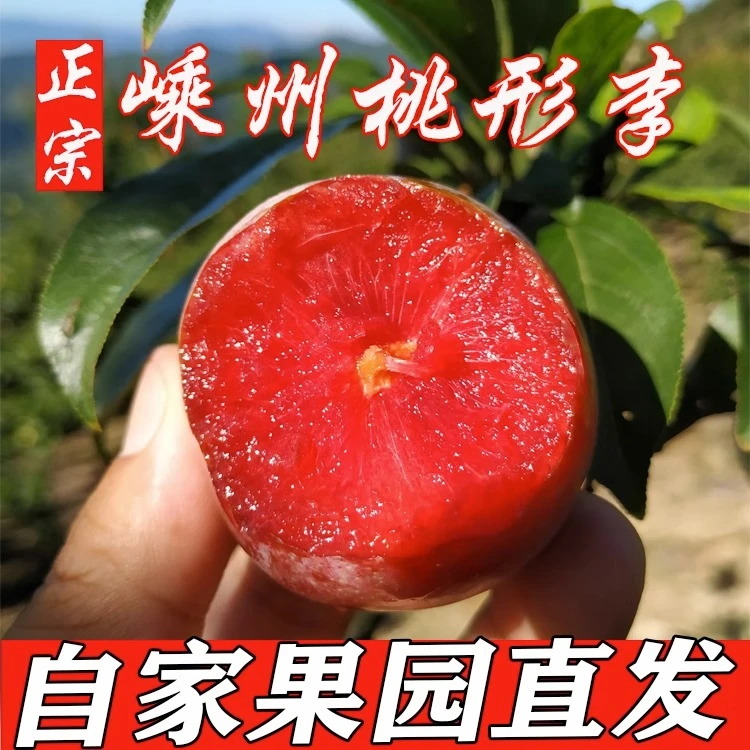 嵊州桃形李时令新鲜现摘脆甜浙江红心李子精选特大果礼盒多汁脆皮