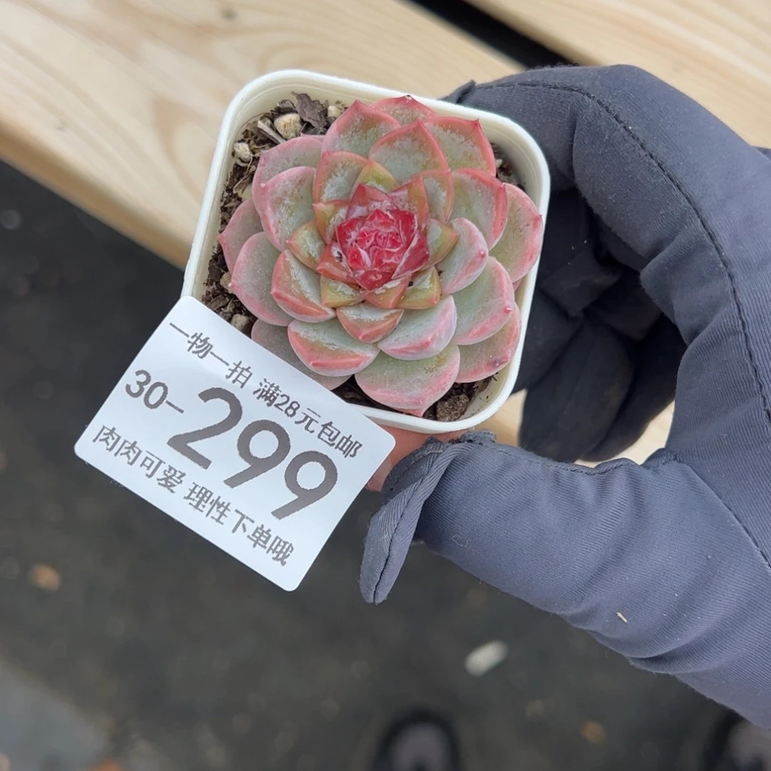 【闪购商品】优选微醺