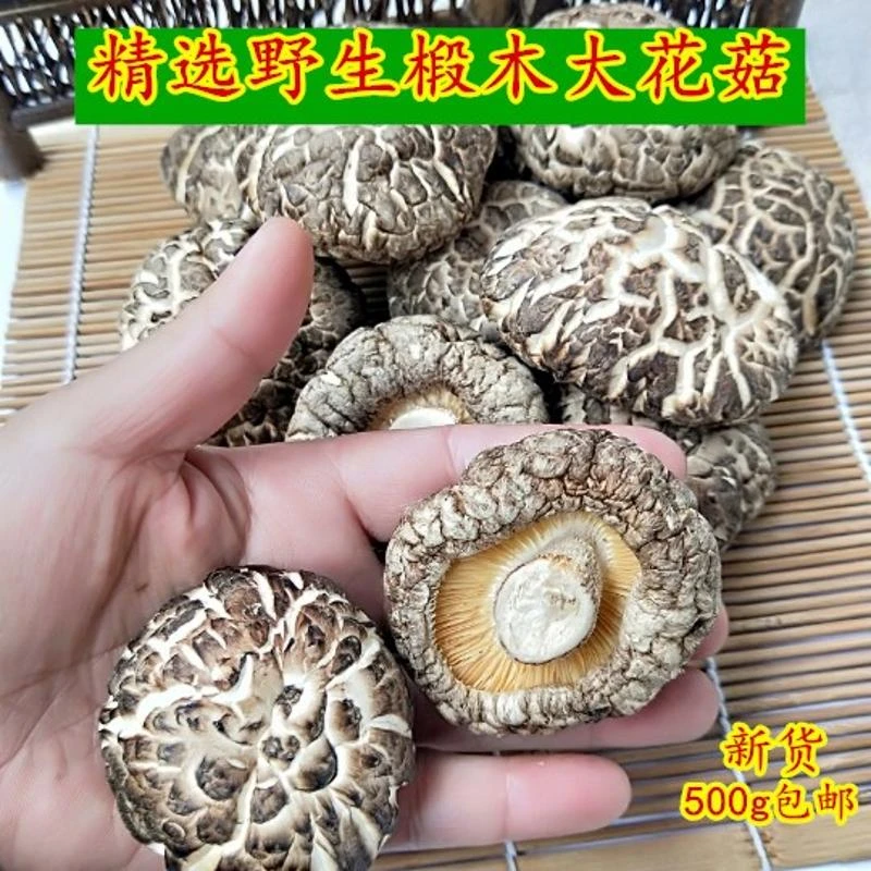 一斤包邮花菇干货剪脚椴木花菇冬菇香菇肉厚蘑菇无干燥剂农家土特