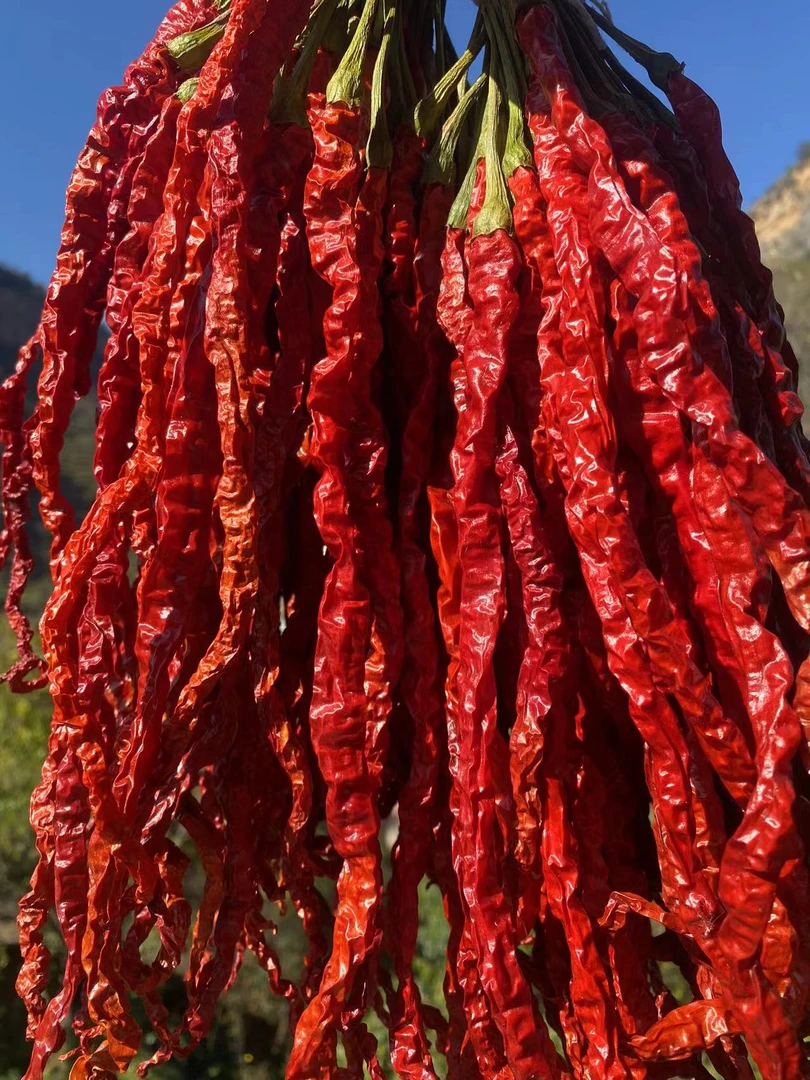 《二姑爹专属》哈喇河线椒干辣椒500g