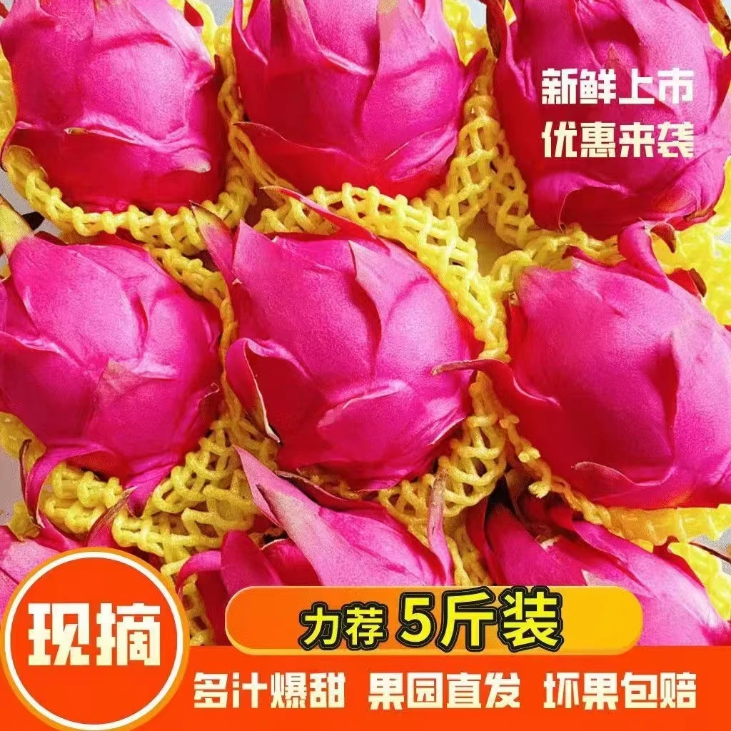 【红心火龙果】广西金都一号火龙果红心现摘现发应季水果红肉火龙果