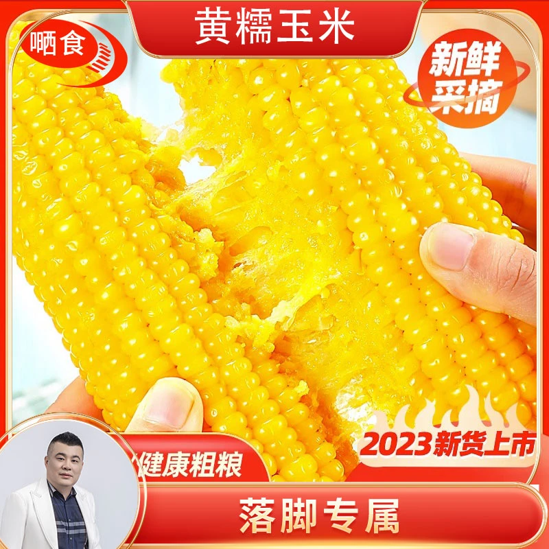 【落脚专享】嗮食东北新鲜粘糯黄玉米糯9软糯拉丝真空包装10支装