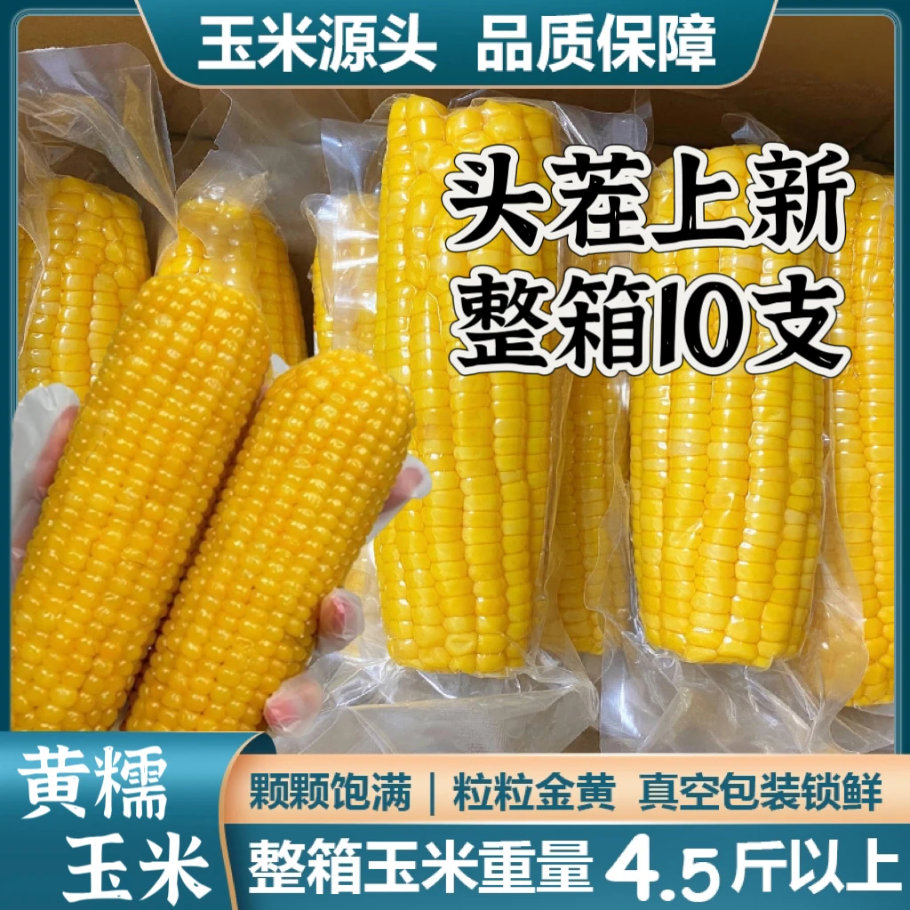 【试吃2根】头茬黄糯玉米整箱4.5斤以上真空包装正宗软糯东北糯玉米