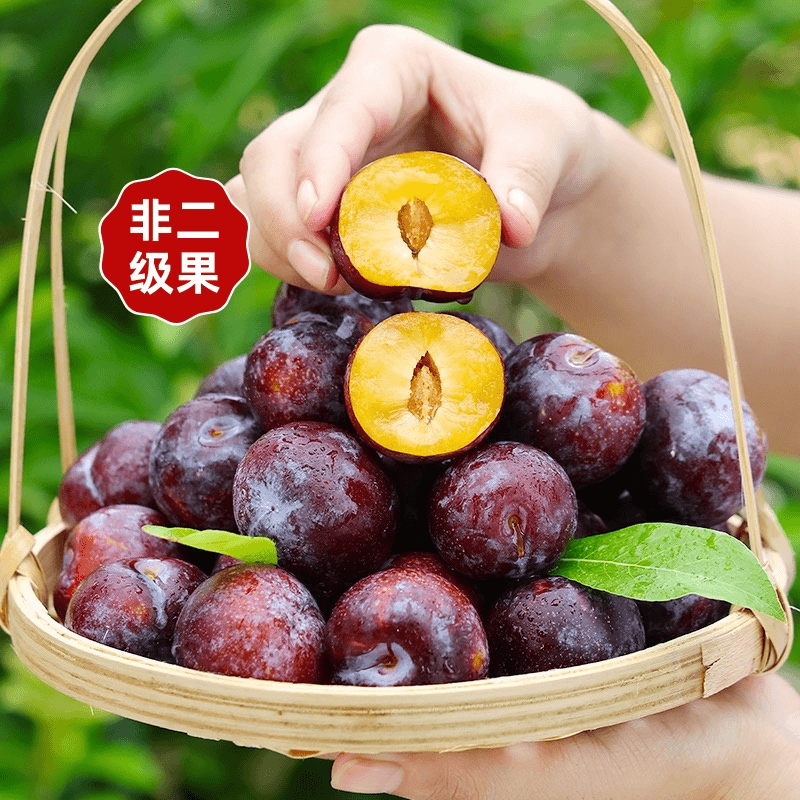 【不好吃你揍我】精品正宗四川脆红李子包好吃包爽口新鲜孕妇水果