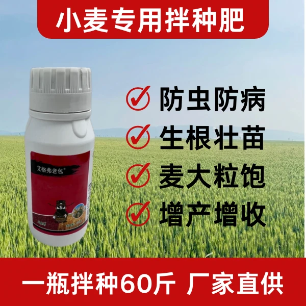 小麦高产拌种肥保护肥防虫防病生根壮苗粒饱穗大提高产量保护小麦