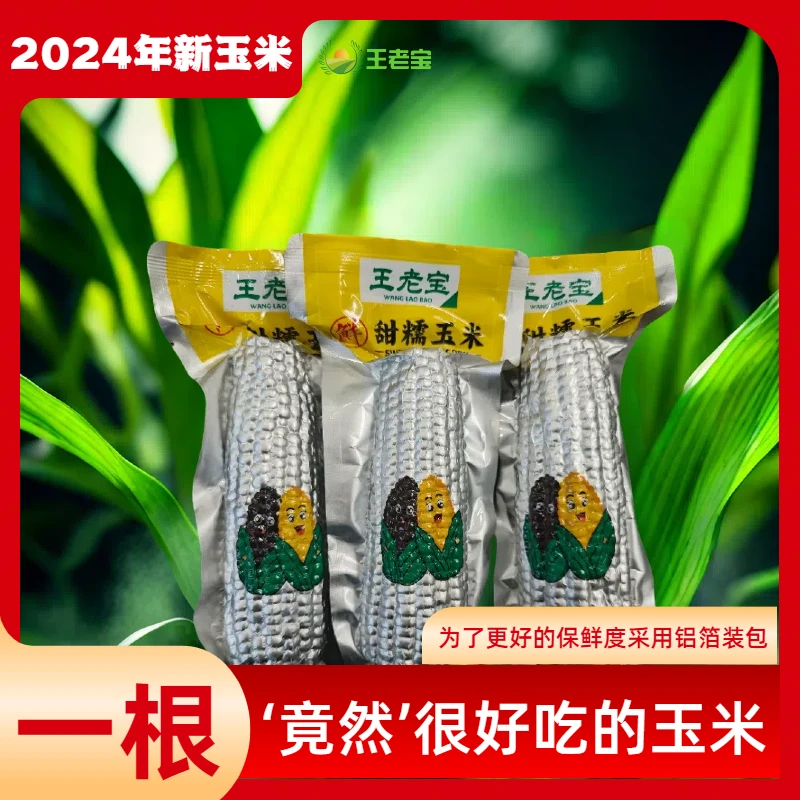 【到手10根】24年新黄糯玉米银铝箔独立包装单只230g-260g软糯香甜