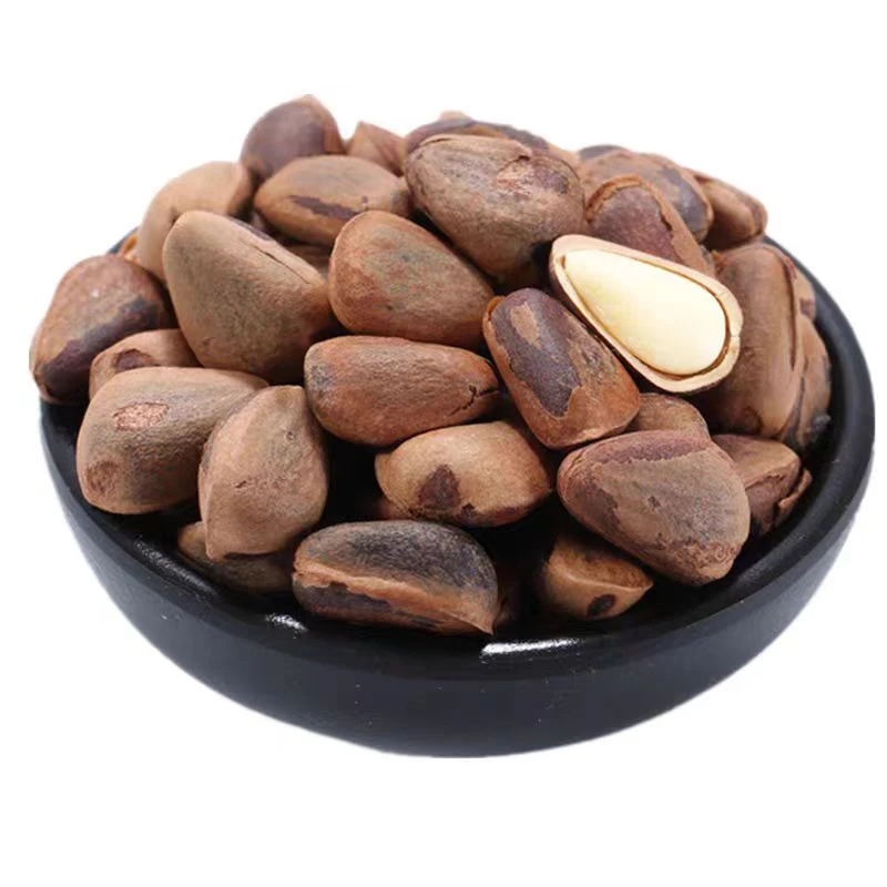 【政伟】2024年野生松子熟/生 500g/1000g