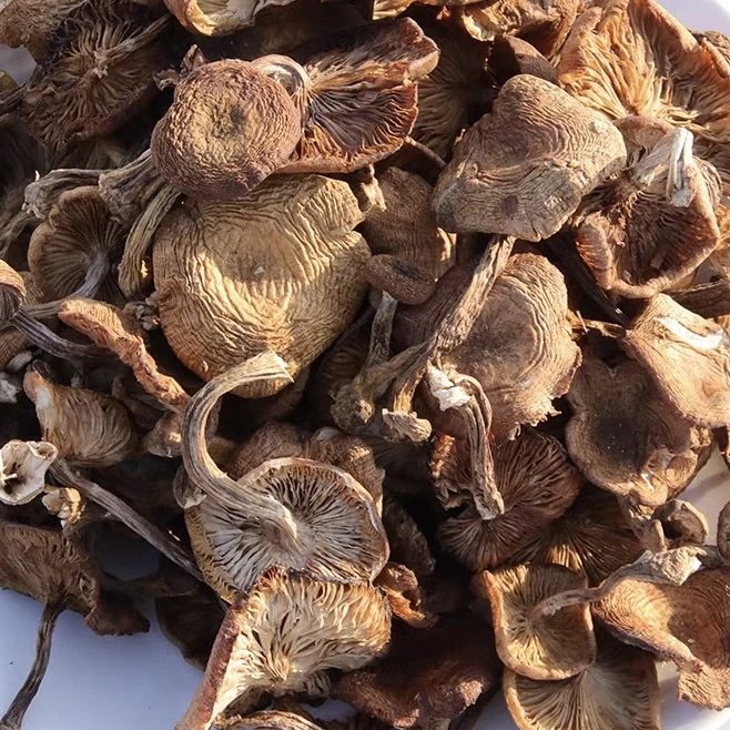 【政伟】深山榛蘑自然晾晒500g