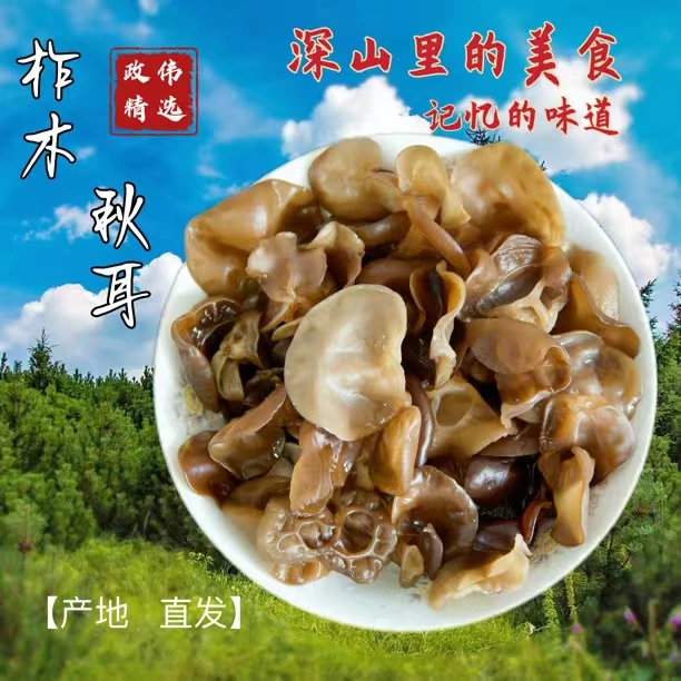 【政伟】黑龙江深山林下秋耳250g/500g
