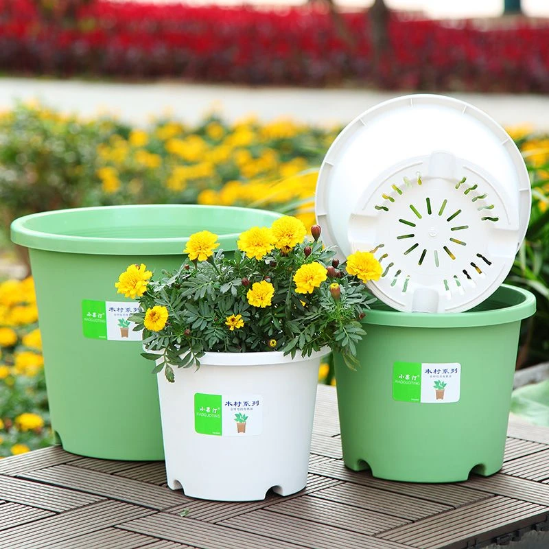 小果汀环保透气加仑盆树脂塑料花盆月季绣球绿植盆栽园艺