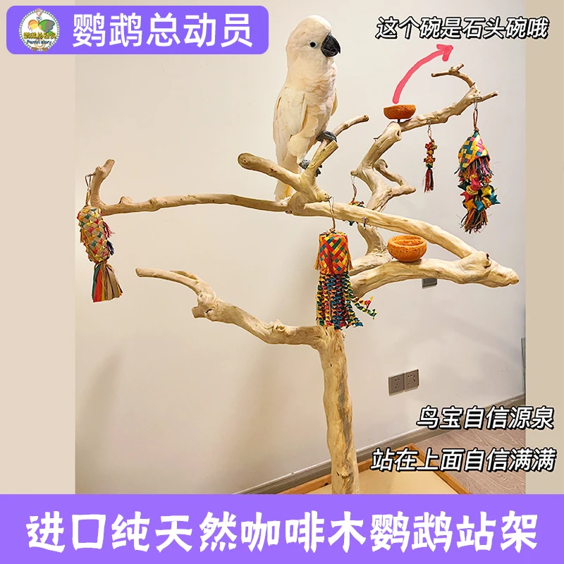 咖啡木站架站杆站棍树枝大型鹦鹉进口咖啡木 高端大气一木永逸