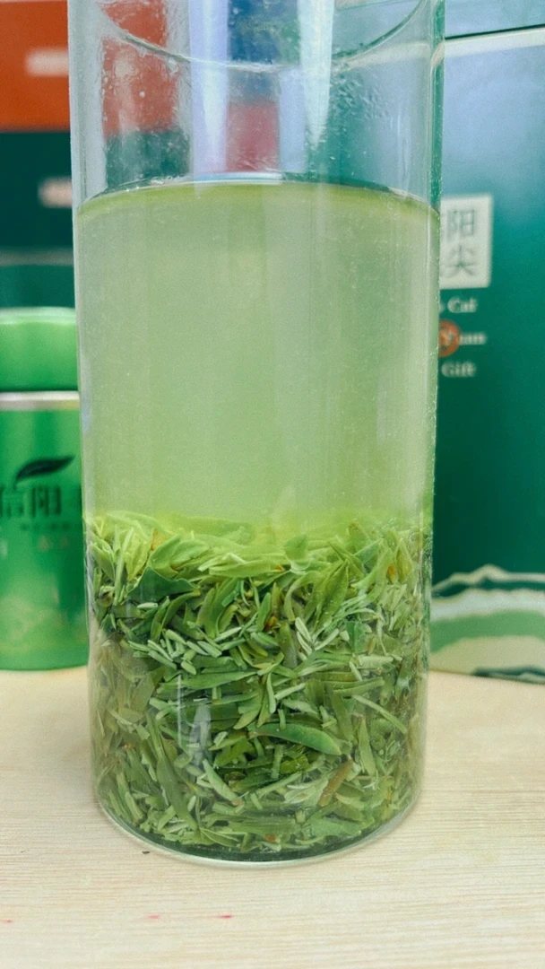 2024年新茶明前芽叶茶玉叶飘叶鲜爽回甘原产地毛尖浉河港大山茶
