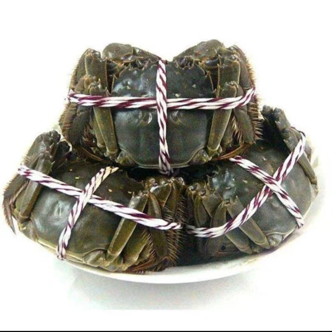 大闸蟹（母）十只