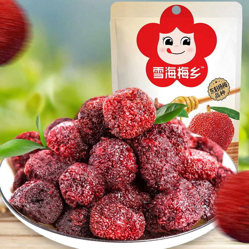 雪海梅乡蜂蜜杨梅40g*4袋 蜜饯果脯话梅酸甜杨梅干零食