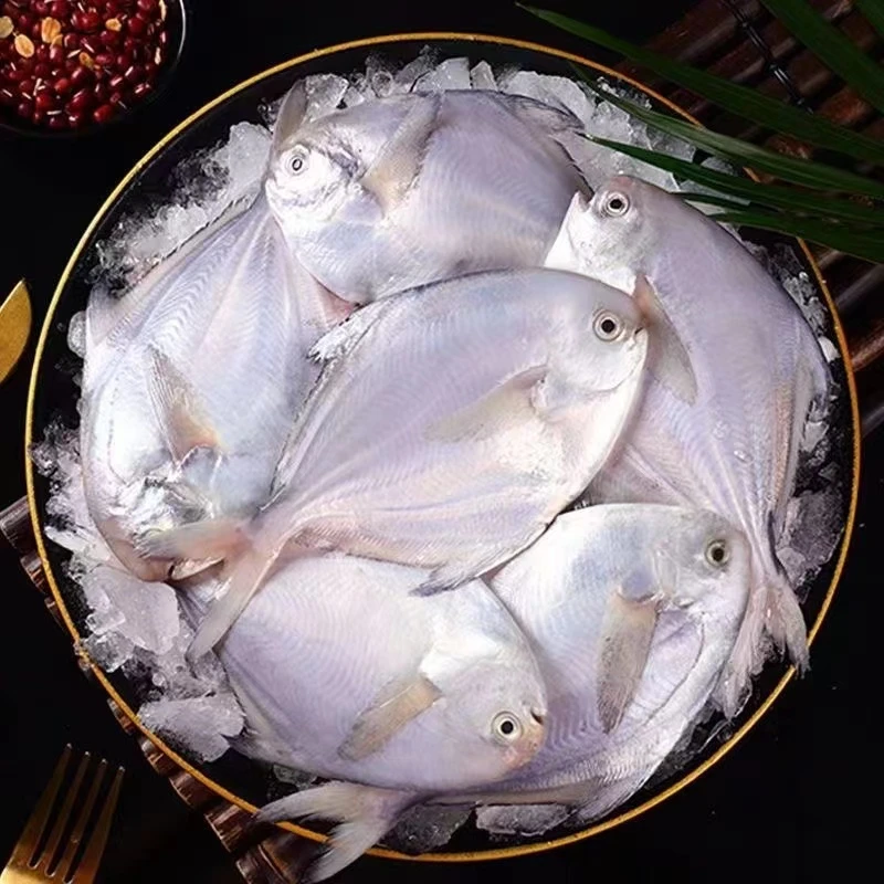 【罗凤魁专属】冷冻小银鲳鱼去冰每袋净重500g（8-13条）*5