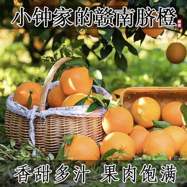 【小钟甄选】正宗赣南脐橙新鲜现摘原产地直发5/10斤包邮
