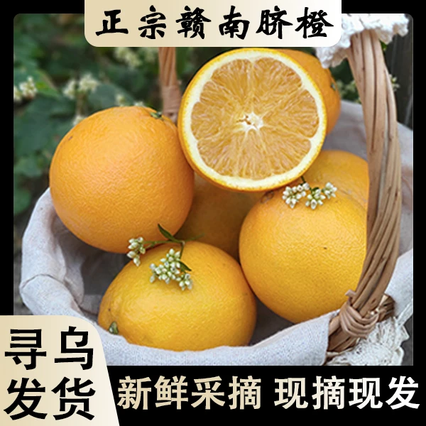 【小钟甄选】正宗赣南脐橙新鲜现摘原产地直发5/10斤包邮