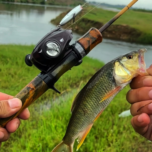 凯霖鱲语路亚竿微物专用马口竿青稍白条弹射超轻超软UL溪流微物杆