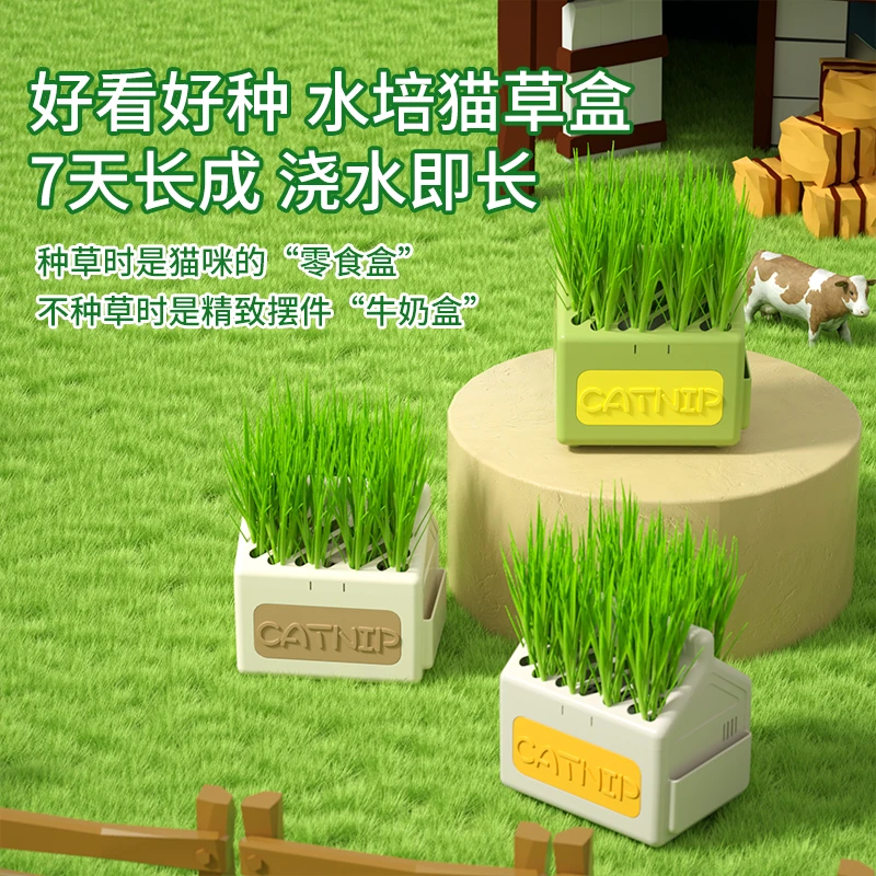 盆栽小麦种子育苗盘无土水培化毛草猫薄荷自已种好幼猫咪零食