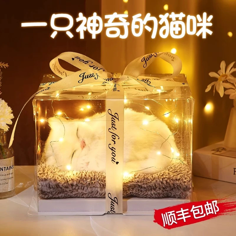 仿真猫咪新年礼物女孩生日送女孩子6-12岁仪式感女儿独特初中生